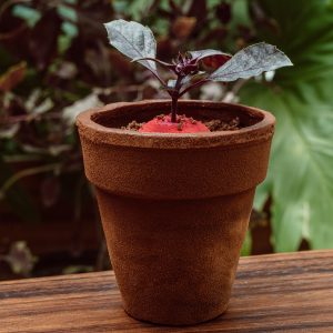 7d6fd367-6c32-4007-94c6-58fc7e1241ce (1)