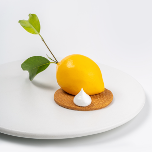 d5c5640c-2e8f-4a72-8f9e-d7a5afea885f (1)